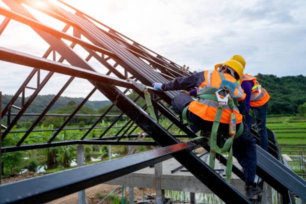 Best Roof Gutter Cleaning  in South Hill, NY